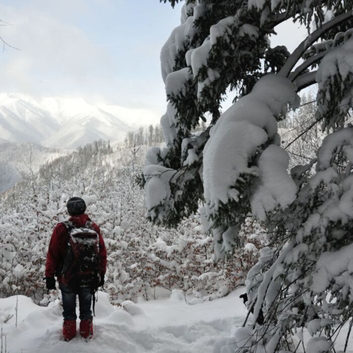 Tailor made tours - Piatra Craiului National Park