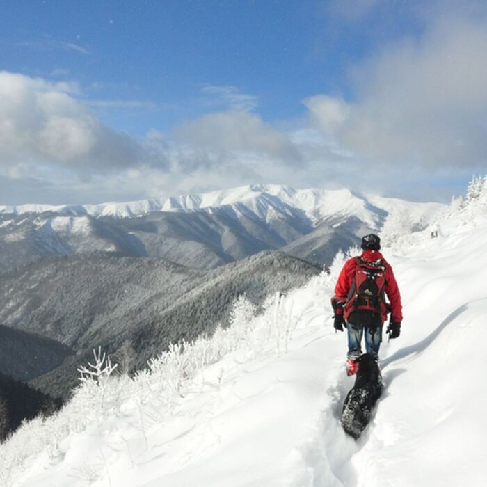 Tailor made tours - Piatra Craiului National Park