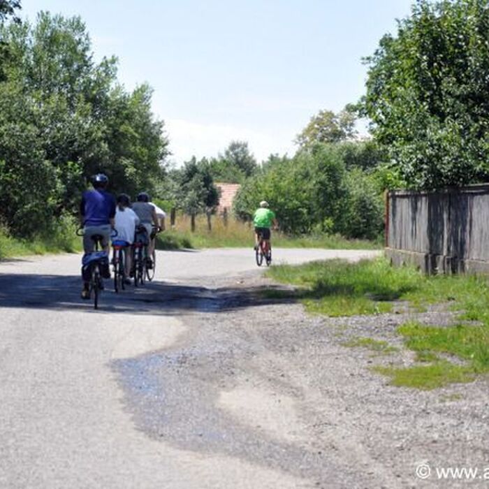 The Heritage of Transylvania cycling tour - 8 days - Countryside