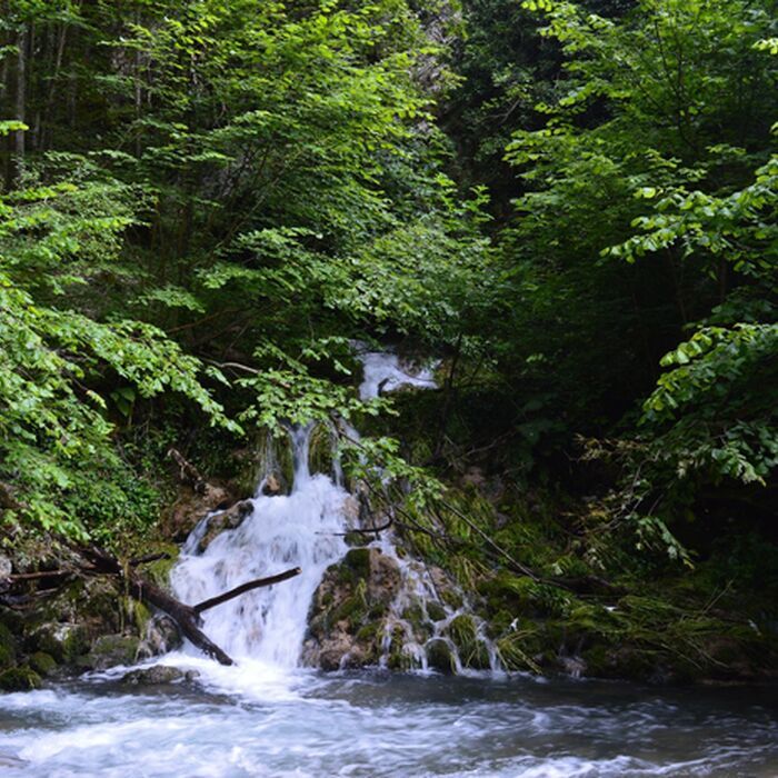 The Hidden Gorges of Banat - 5 days - Cheile Garlistei