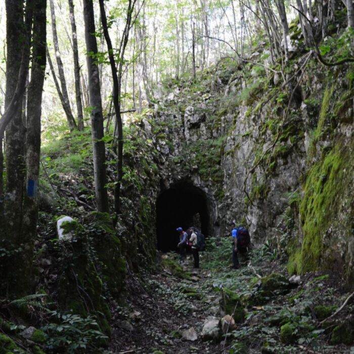 The Hidden Gorges of Banat - 5 days - Cheile Buhui