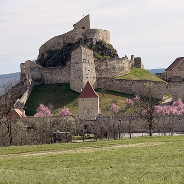 Transylvania Signature Journey - Saxon Villages, Citadels & Cultural Landscapes (7 Days) - Rupea Citadel