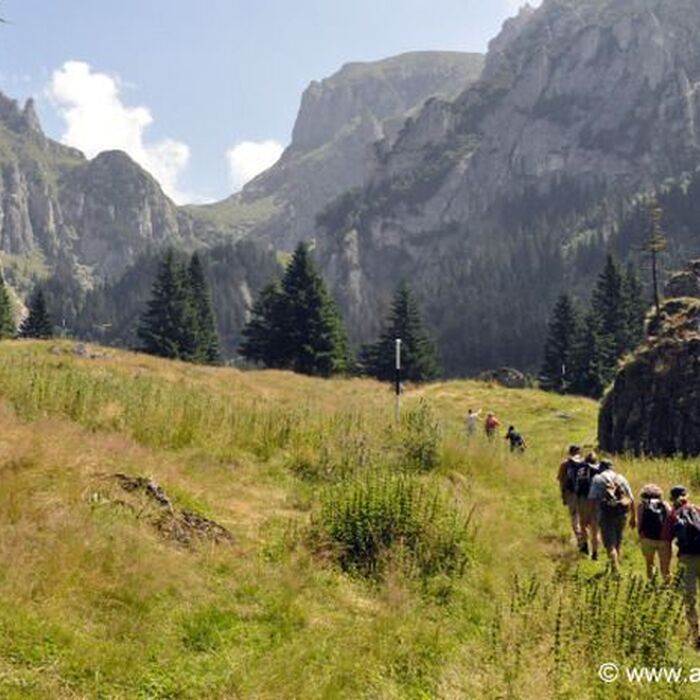 Transylvania Adventure: 8-Day Trekking, Biking & Bear Watching Tour - Gaura Valley Bucegi Mountains
