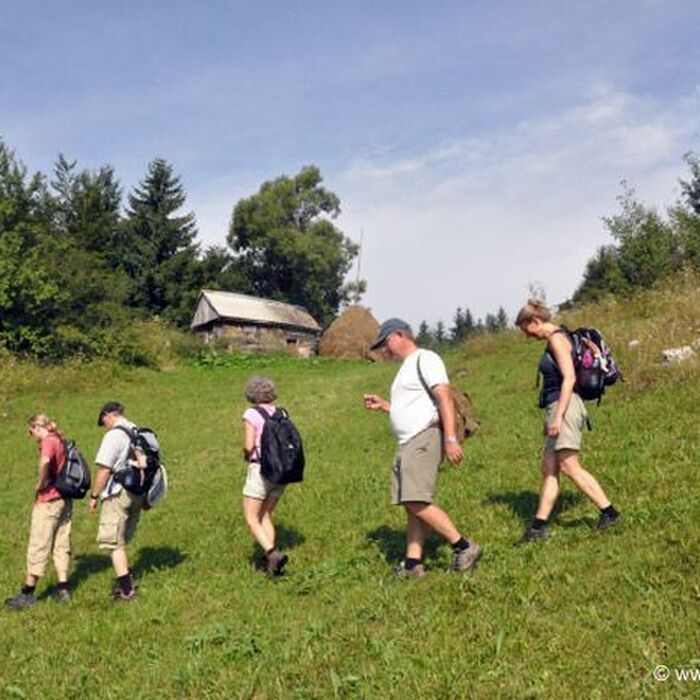 Transylvania Adventure: 8-Day Trekking, Biking & Bear Watching Tour - Countryside Romania