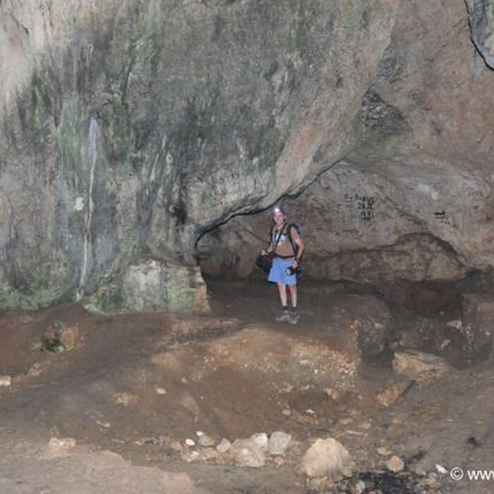 Transylvania Adventure: 8-Day Trekking, Biking & Bear Watching Tour - Bat cave Romania