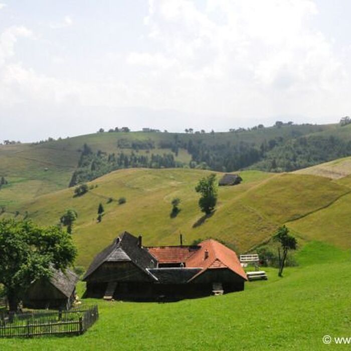 Transylvania Adventure: 8-Day Trekking, Biking & Bear Watching Tour - Country house Romania