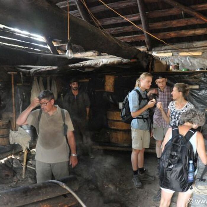 Transylvania Adventure: 8-Day Trekking, Biking & Bear Watching Tour - Sheep farm Romania