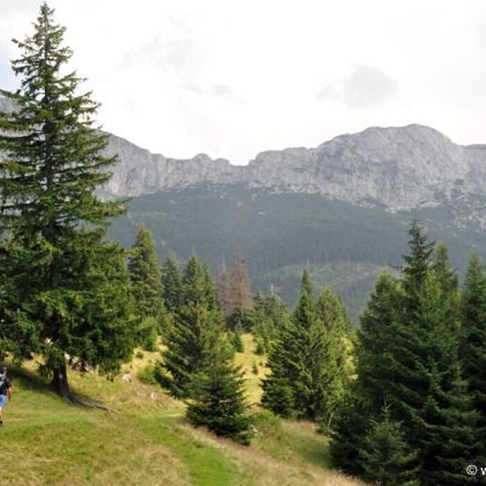 7 Days of Adventure in Transylvania: Trekking and Bear Watching - Travel to romania for Adventure in transylvania and brown bear watching