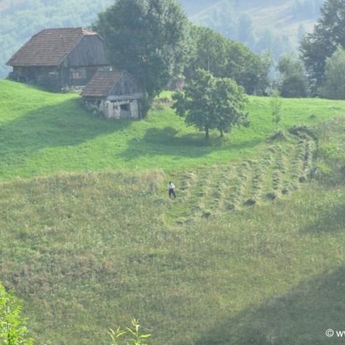 7 Days of Adventure in Transylvania: Trekking and Bear Watching - Transylvanian mountain villages