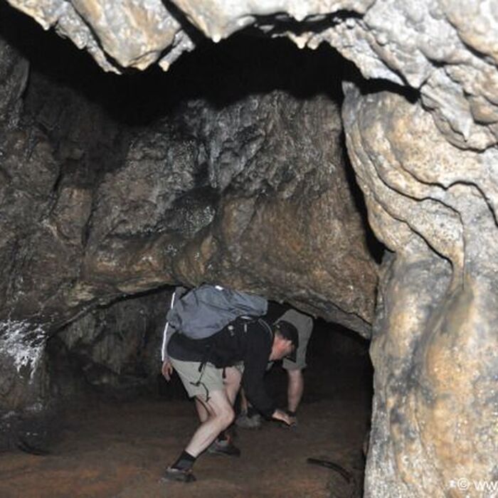 7 Days of Adventure in Transylvania: Trekking and Bear Watching - Bat cave from Pestera village Transylvania