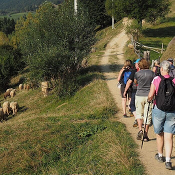 7 Days of Adventure in Transylvania: Trekking and Bear Watching - slide