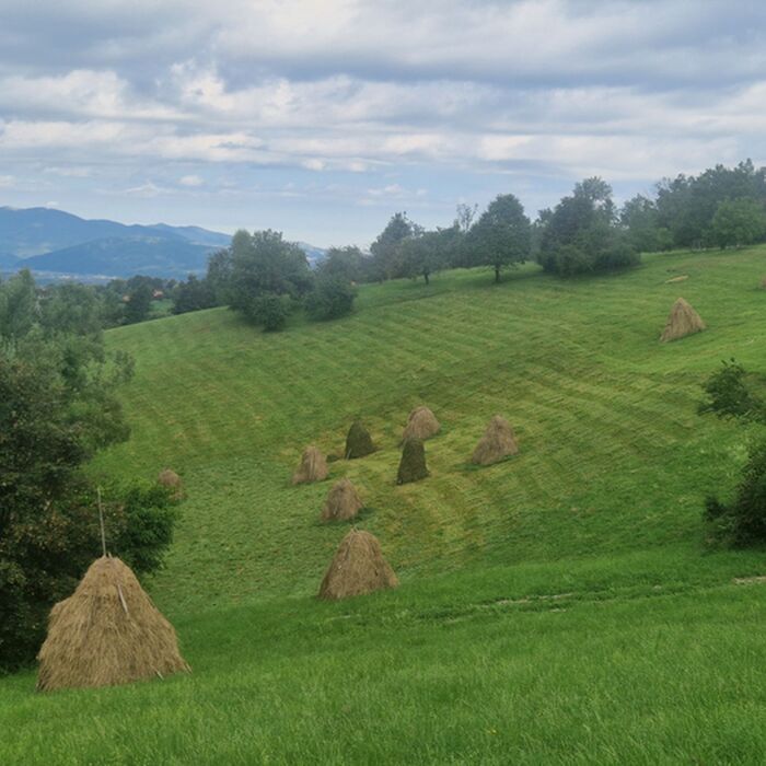 Via Transilvanica Experience - A 3-Day Journey through Transylvanian Villages - Walk on Via Transilvanica, Romania