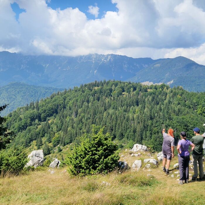 Village Life in Transylvania - An 8-Day Eco Journey in the Carpathians - Walking in Transylvania