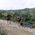 Piatra Craiului Mountain Biking Experience - Villages, Gorges & Carpathian Landscapes