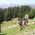 Piatra Craiului Escape - A 2-Day Eco Trek In The Carpathians