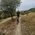 Transylvanian Villages Cycling Experience - 3 Days In Saxon Countryside