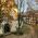 Bran Castle Tour From Brașov With Saxon Fortified Churches (Small Group)