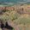 Day Tour To Geological And Historical Sites In Transylvania
